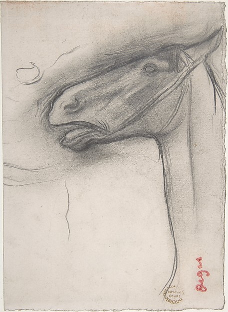 Head of a Horse 1878